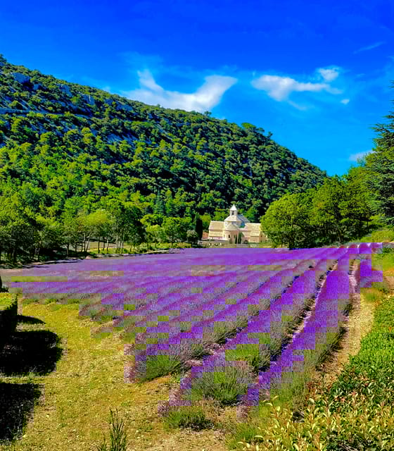 From Avignon: Provence Highlights Full-Day Tour - Gordes