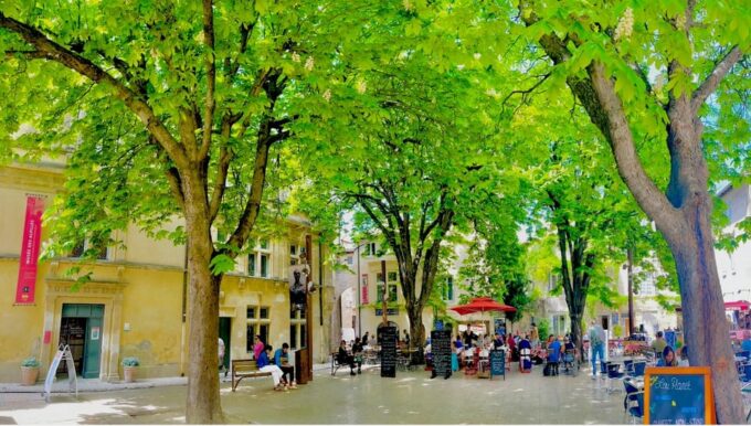 From Avignon: Provence Highlights Full-Day Tour - Seasonal Highlights