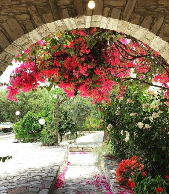From Aya Napa/Protaras/Larnaca: Cyprus Charms in Romanian - Key Points