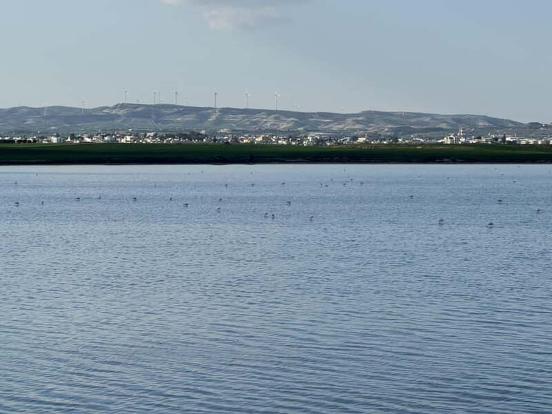 From Ayia Napa: Enchanted Lagoon Jeep Safari - FAQ