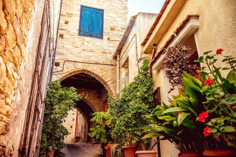 From Ayia Napa: Fikardou, Machairas & Lefkara Guided Tour - The Value of the Tour
