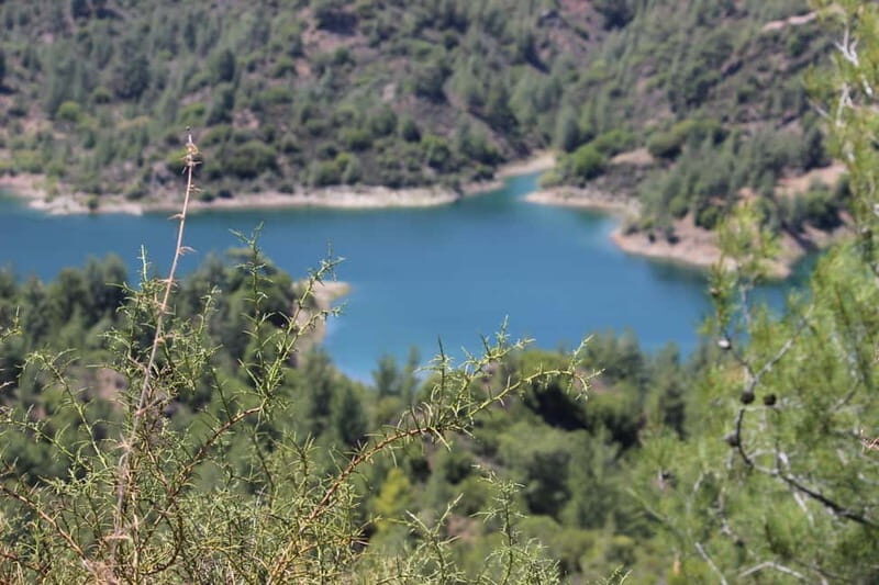 From Ayia Napa: Troodos Classic Jeep Safari - Final Thoughts