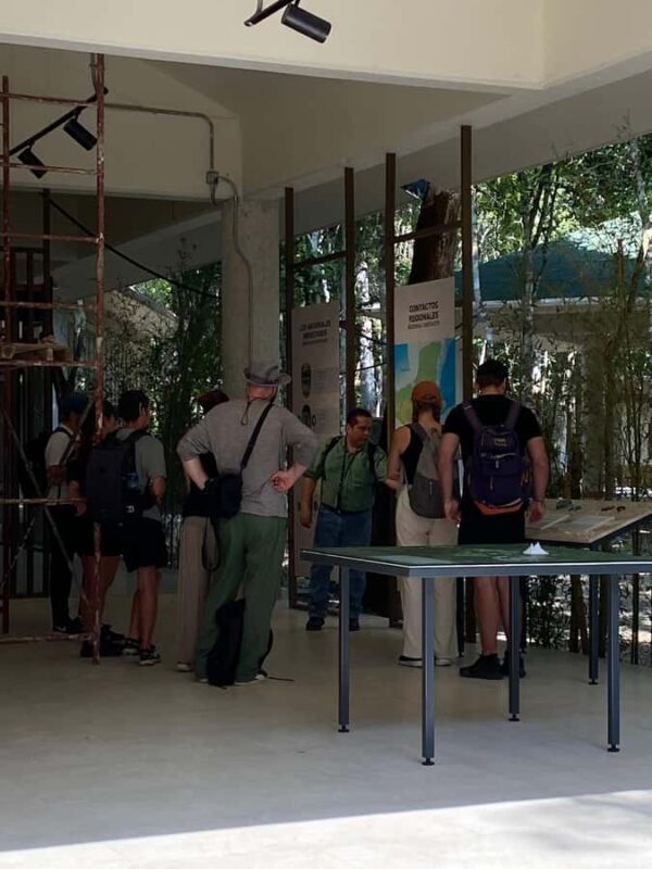 From Bacalar: Calakmul Ruins Expedition & Jungle Trek - FAQ