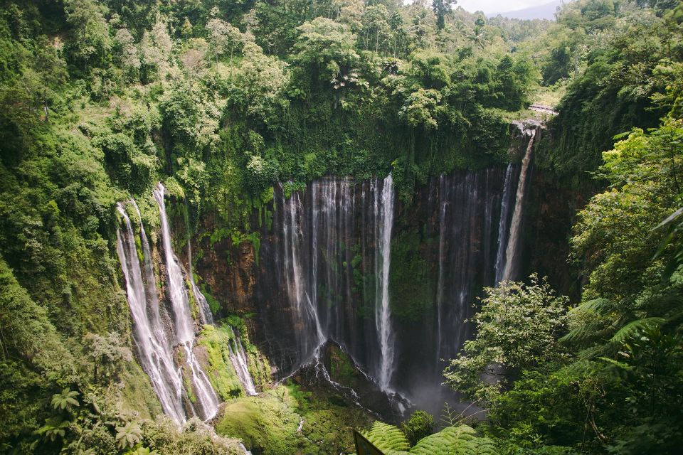 From Bali: 10-DAY Tour of Javas Highlights With Lodging - Embark on Memorable Drives
