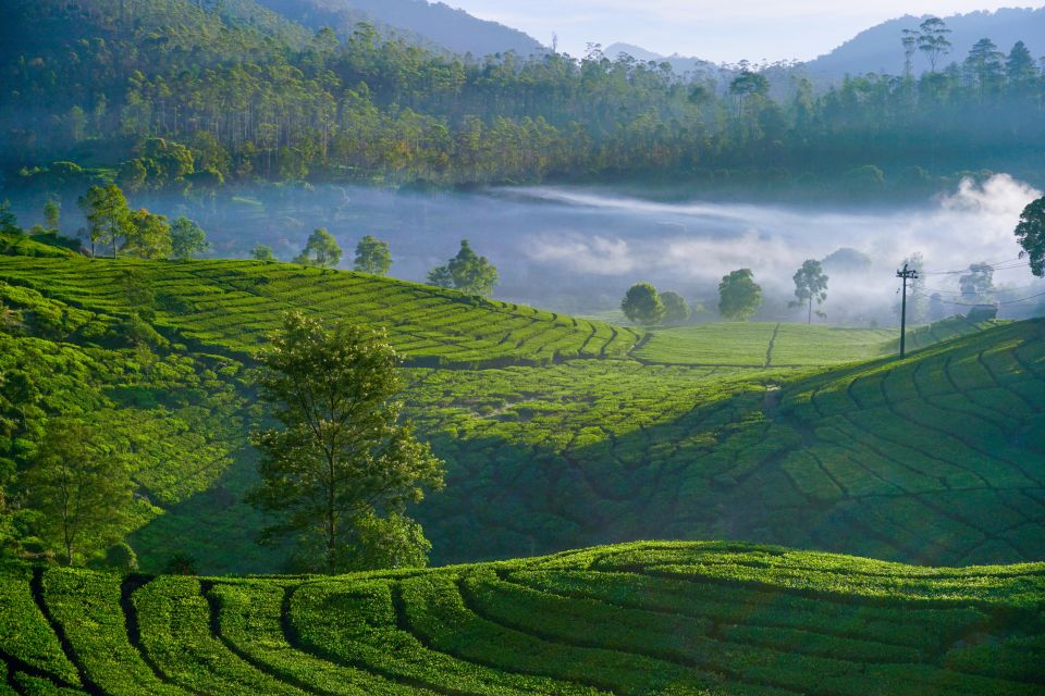 From Bali: 10-DAY Tour of Javas Highlights With Lodging - Enjoy Comfortable Accommodations