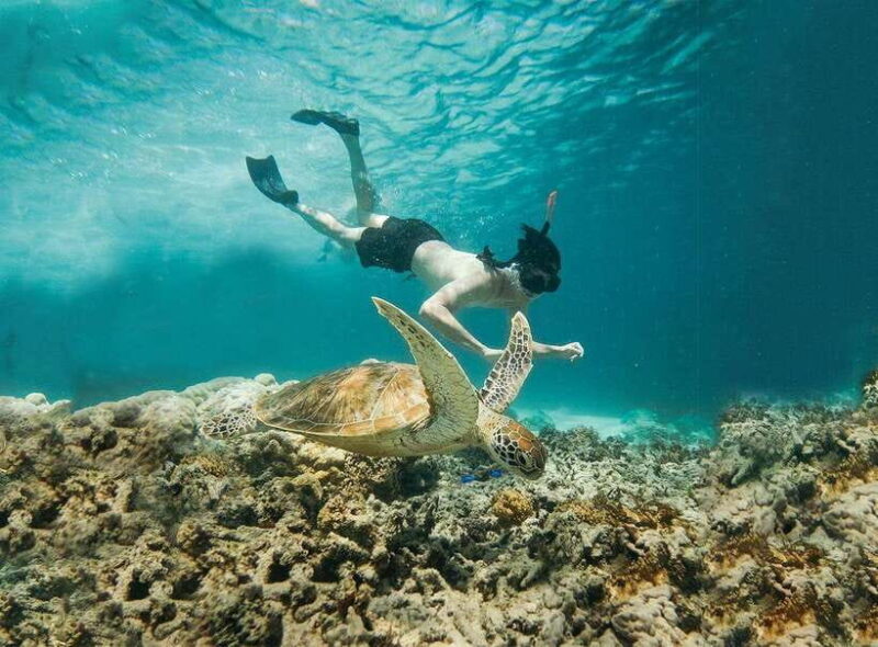 From Bali: 2D1N Gili Island Private Snorkel Boat with Hotel - Key Points