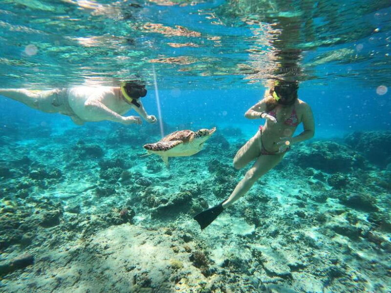 From Bali: 2D1N Gili Island Private Snorkel Boat with Hotel - Final Thoughts: Is This Tour for You?