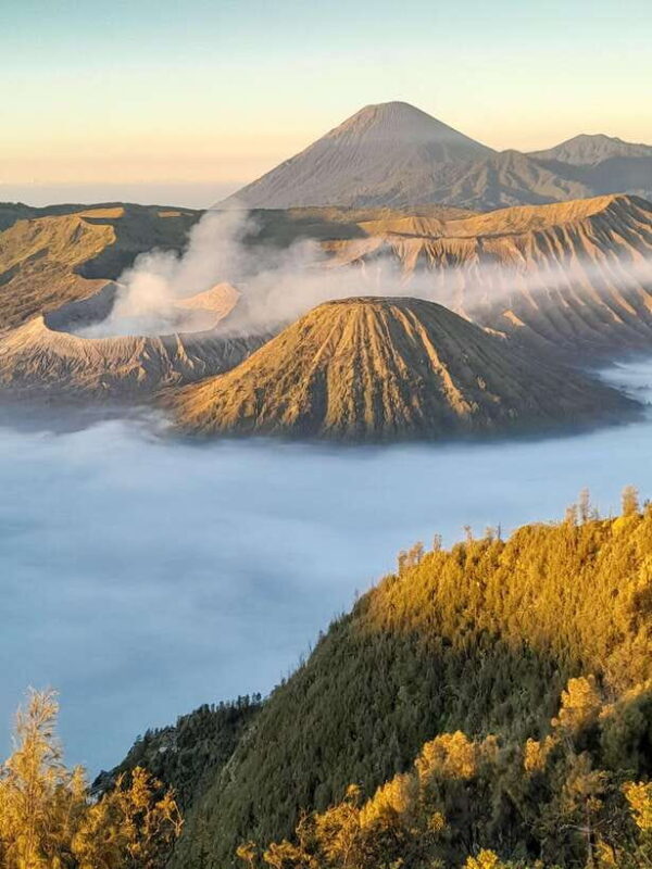 From Bali: 3 Days Excursion Mount Bromo and Ijen Blue Fire - Day 3: Mount Bromo and the Sunrise