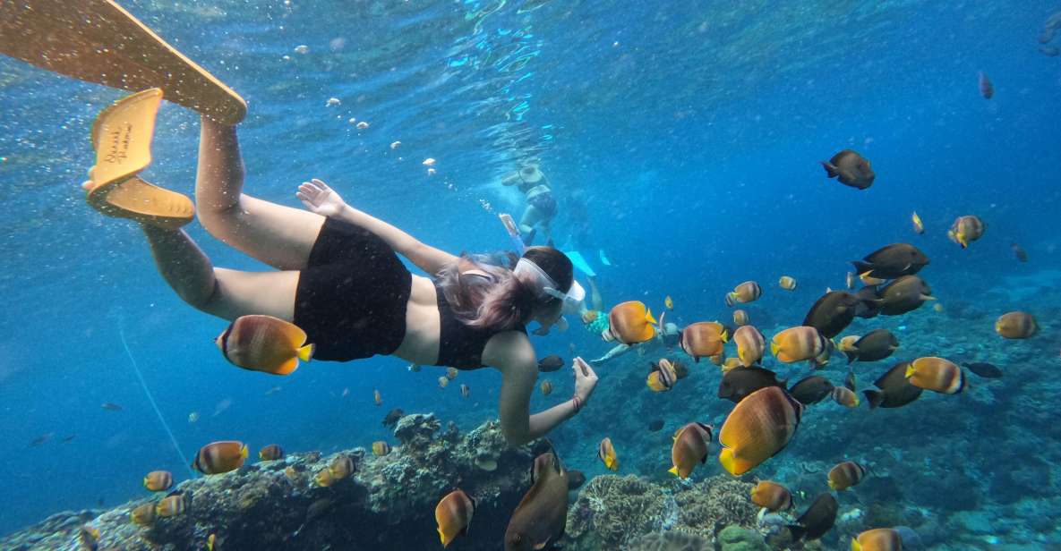From Bali: 3 Snorkeling Spots Tour to Lembongan and Penida - Snorkeling Highlights