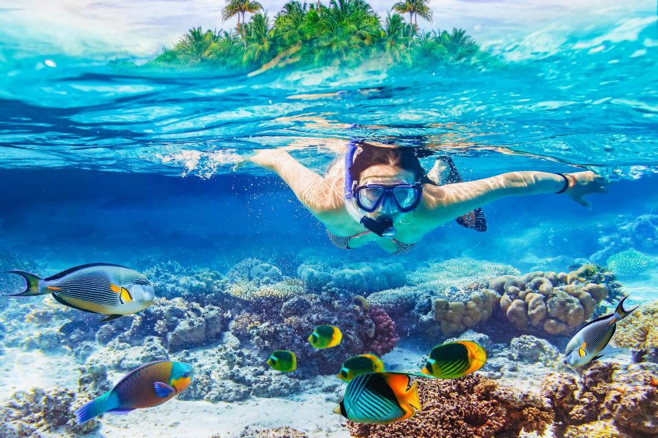 From Bali: 3 Snorkeling Spots Tour to Lembongan and Penida - Mangrove Exploration