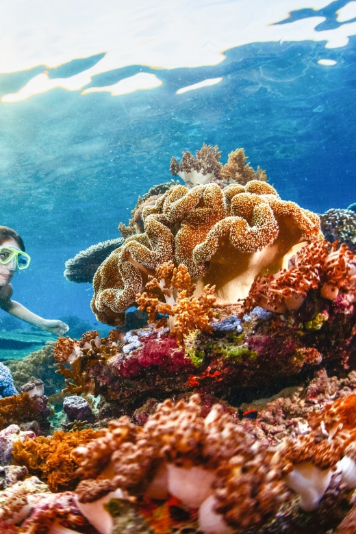 From Bali: 3 Snorkeling Spots Tour to Lembongan and Penida - Pickup and Transfers