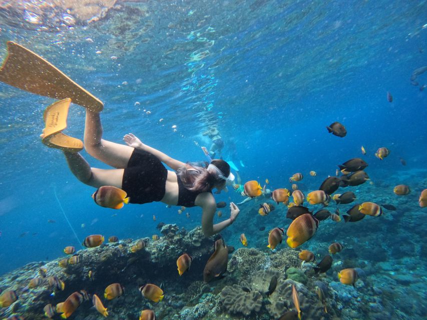 From Bali: 3 Snorkeling Spots Tour to Lembongan and Penida - Important Details