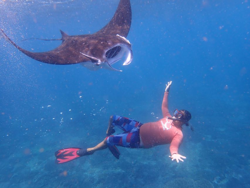 From Bali: 3 Snorkeling Spots Tour to Lembongan and Penida - Suitability and Age Restrictions