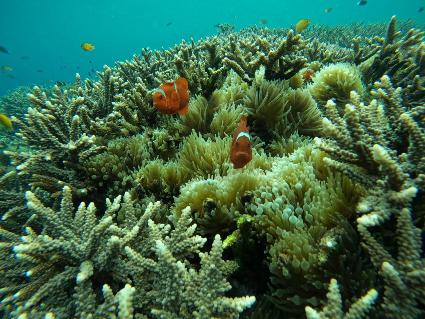 From Bali: 3 Snorkeling Spots Tour to Lembongan and Penida - Frequently Asked Questions