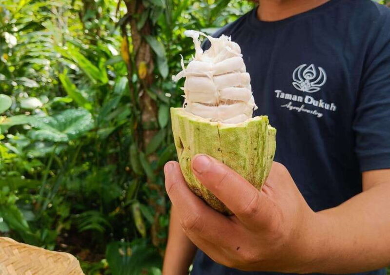From Bali: Cooking Class at Ubud Organic Farm - Setting the Scene: What the Tour Looks Like
