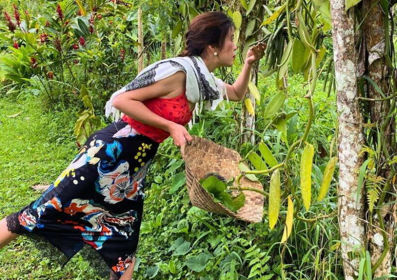 From Bali: Cooking Class at Ubud Organic Farm - FAQ