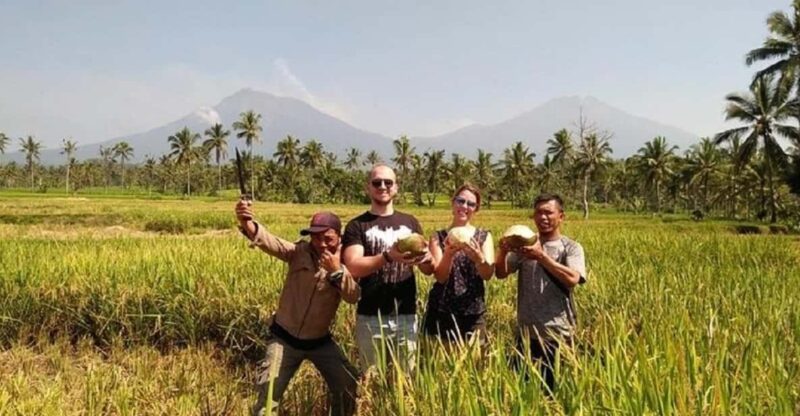 From Bali : Kawah Ijen Mt.Bromo With Local Experiences - Good To Know
