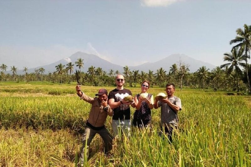 From Bali : Kawah Ijen Mt.Bromo With Local Experiences - Day 1 Activities