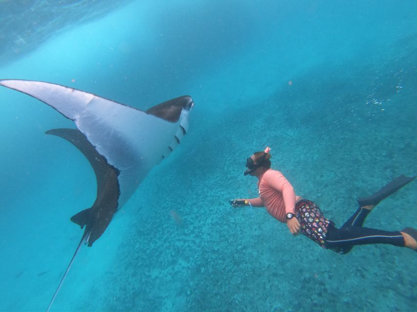 From Bali: Lembongan & Penida 2-Day Tour With Snorkeling - Snorkeling Highlights