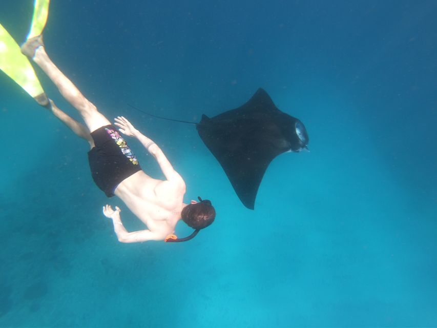 From Bali: Lembongan & Penida 2-Day Tour With Snorkeling - Overnight Accommodation