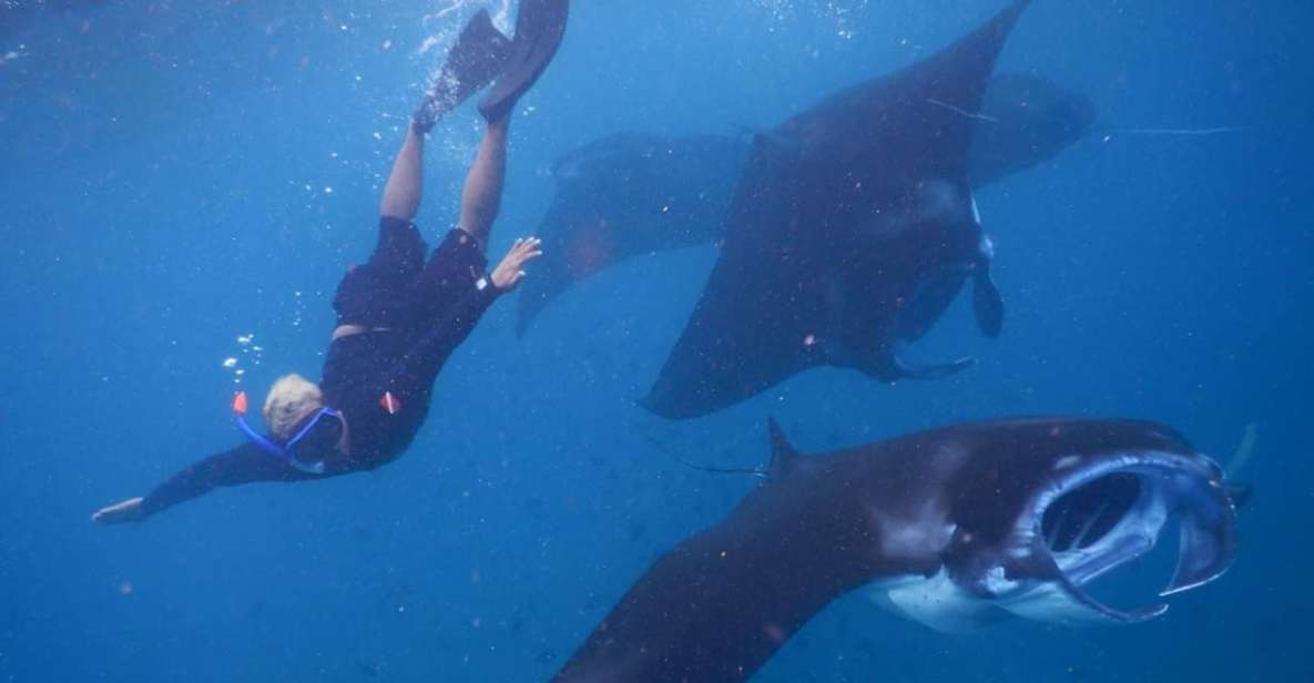 From Bali: Manta Ray Tour in Nusa Lembongan and Nusa Penida - Itinerary Highlights