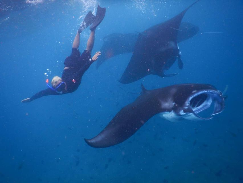 From Bali: Manta Ray Tour in Nusa Lembongan and Nusa Penida - Included Experiences