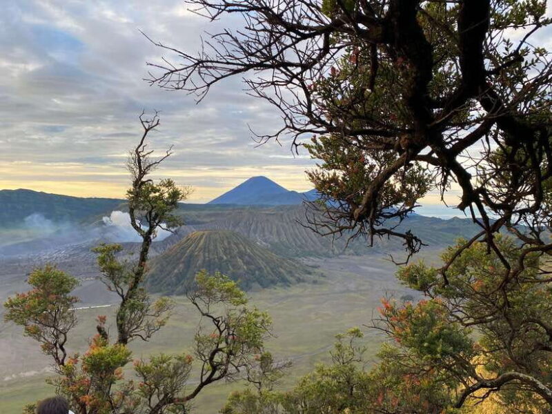 From Bali: Mount Bromo & Ijen volcanic private tour - Key Points