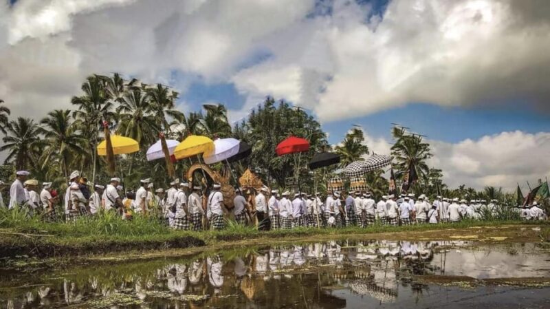 From Bali: Night Fireflies Tour & Balinese Cultures Insights - Itinerary Highlights
