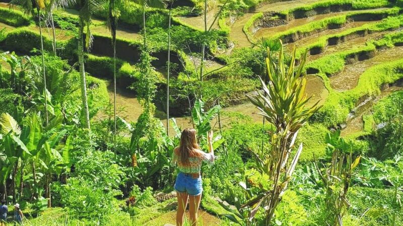 From Bali: Night Fireflies Tour & Balinese Cultures Insights - Cultural Experiences
