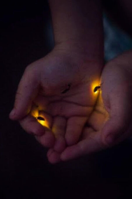 From Bali: Night Fireflies Tour & Balinese Cultures Insights - Frequently Asked Questions