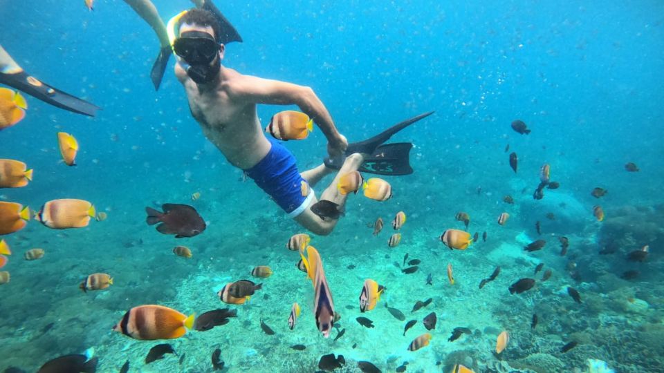 From Bali: Nusa Lembongan Snorkeling, Mangrove and Land Tours - Convenient Transportation Included