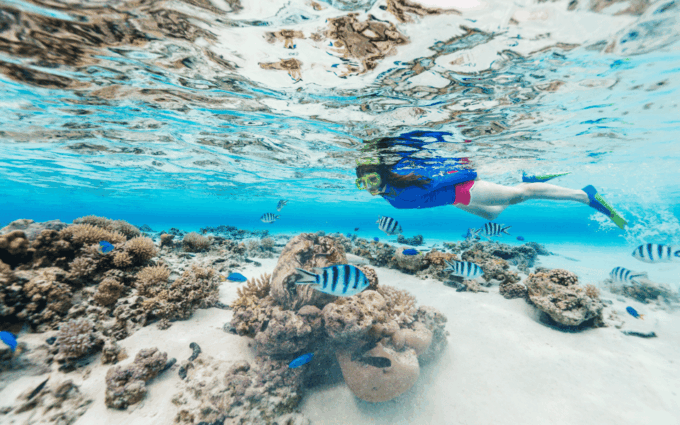 From Bali: Nusa Penida Day Trip and Swimming With Manta Rays - Exploring Nusa Penida