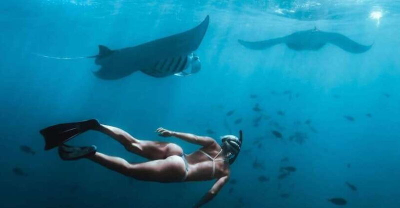From Bali: Nusa Penida Full Day Private Snorkeling Tour - Key Points