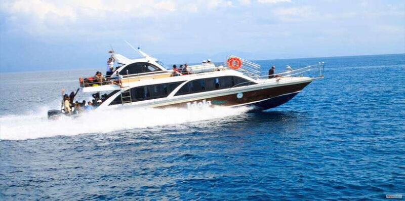 From Bali: Nusa Penida Full Day Private Snorkeling Tour - Why This Tour Works and What to Expect