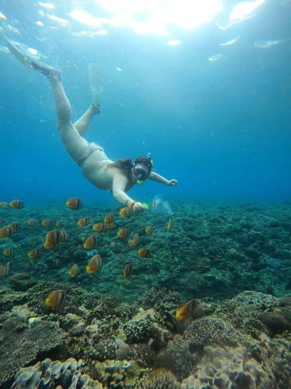 From Bali: Nusa Penida Full Day Private Snorkeling Tour - Final Thoughts: Who Will Love This Tour?