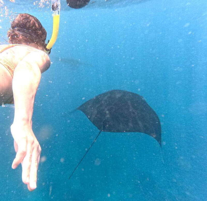 From Bali: Nusa Penida Full Day Tour and Snorkeling 3 Spots - Overview of the Tour Experience