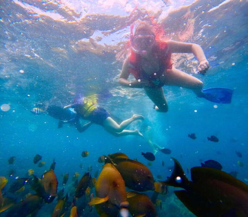 From Bali: Nusa Penida Full Day Tour and Snorkeling 3 Spots - What Makes This Tour Stand Out?