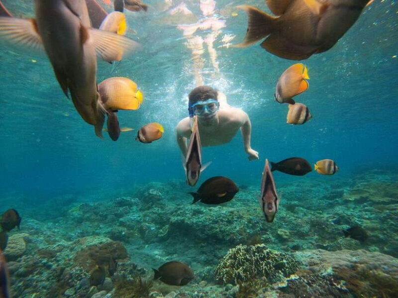 From Bali: Nusa Penida Full Day Tour and Snorkeling 3 Spots - The Sum Up
