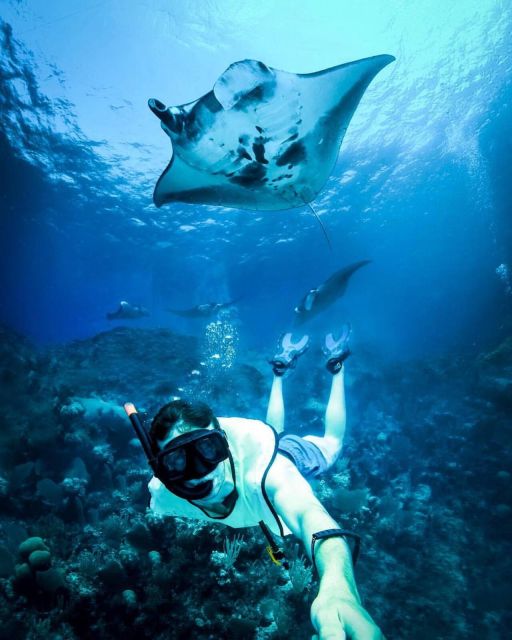 From Bali: Nusa Penida Island Day Tour With Snorkeling - Key Highlights of the Tour