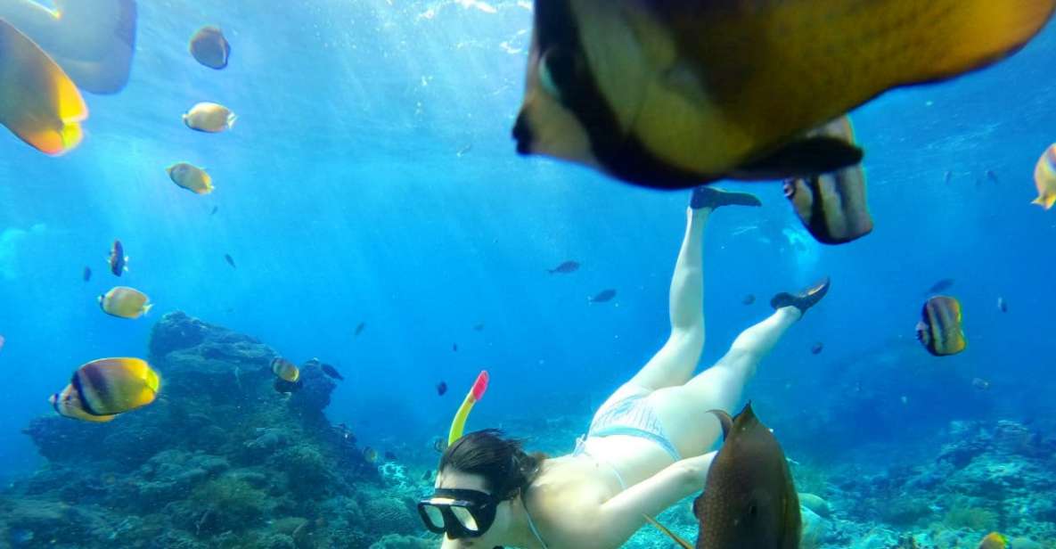 From Bali: Nusa Penida Island Tour Package With Snorkeling - Key Points