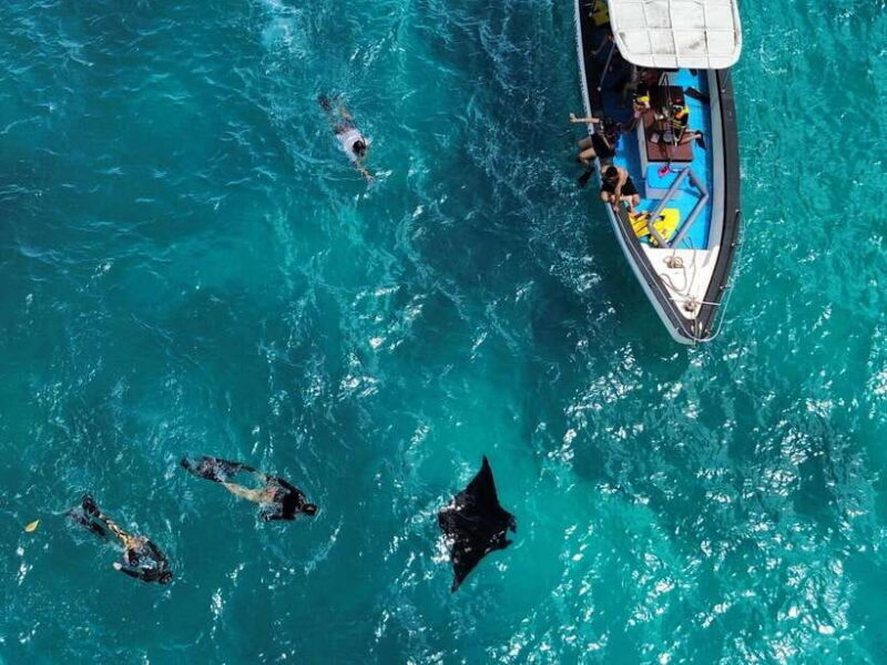 From Bali: Nusa Penida Private Snorkeling and Land Tour - Authentic Experiences and Traveler Feedback