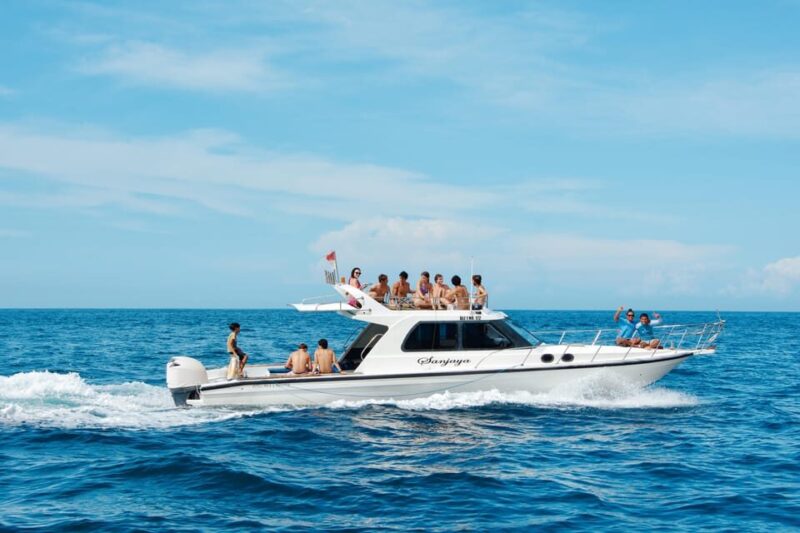 t5531472