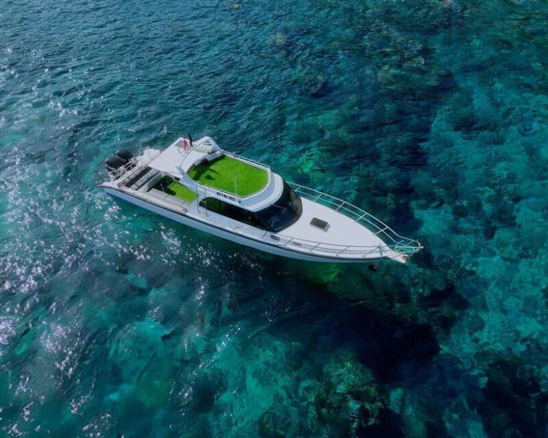 From Bali: Nusa Penida Private Snorkeling Tour with Lunch - Who Will Love This Tour?