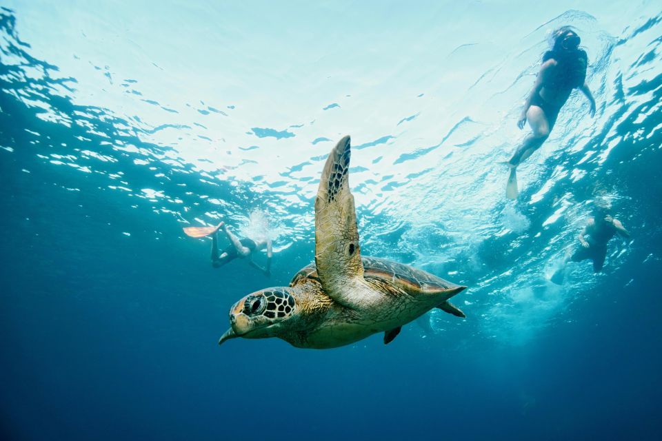 From Bali: Nusa Penida Private Snorkeling Tour With Lunch - Snorkeling at Secret Bay and Wall Bay