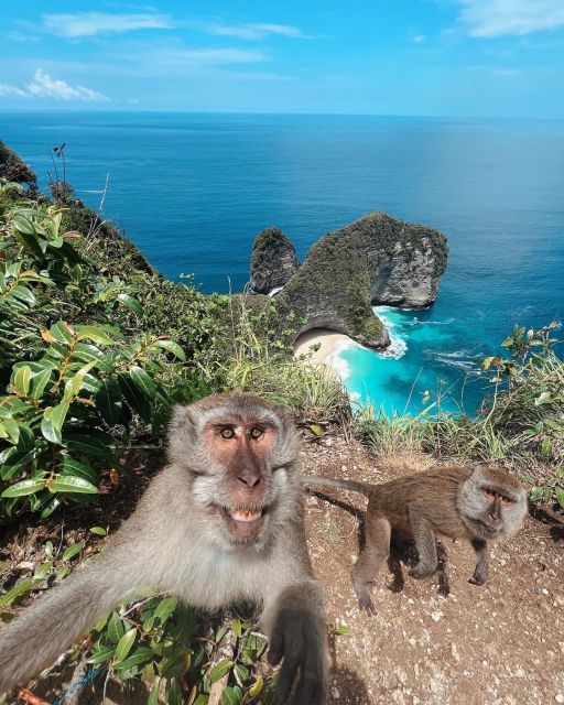 From Bali: Nusa Penida Private Snorkeling Tour With Lunch - Frequently Asked Questions