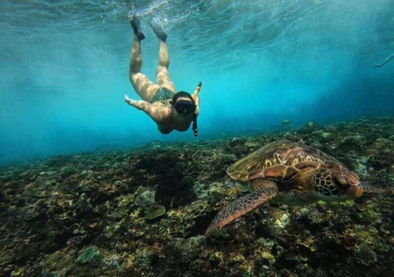 From Bali: Nusa Penida Snorkeling and West Coast Tour - An In-Depth Look at the Experience