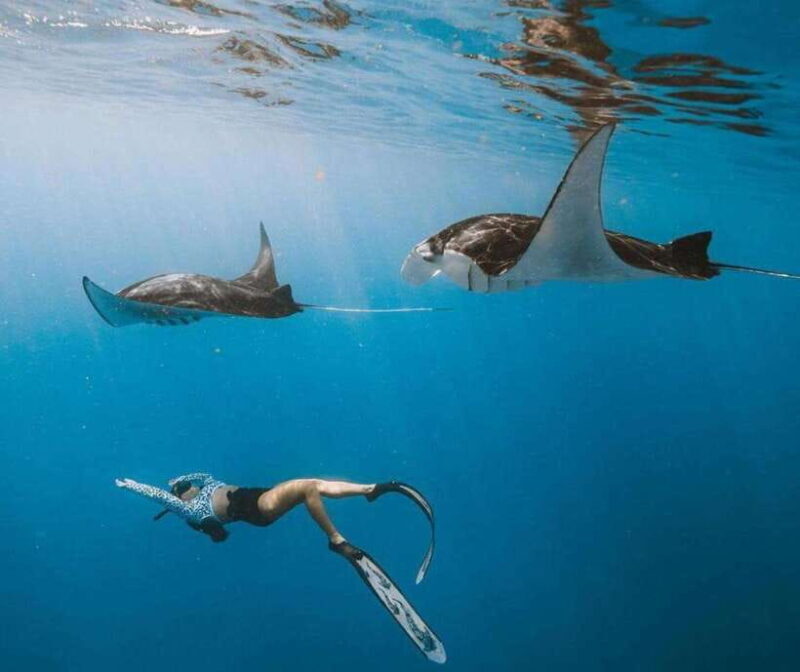 From Bali: Nusa Penida Snorkeling and West Coast Tour - Who is This Tour Best For?