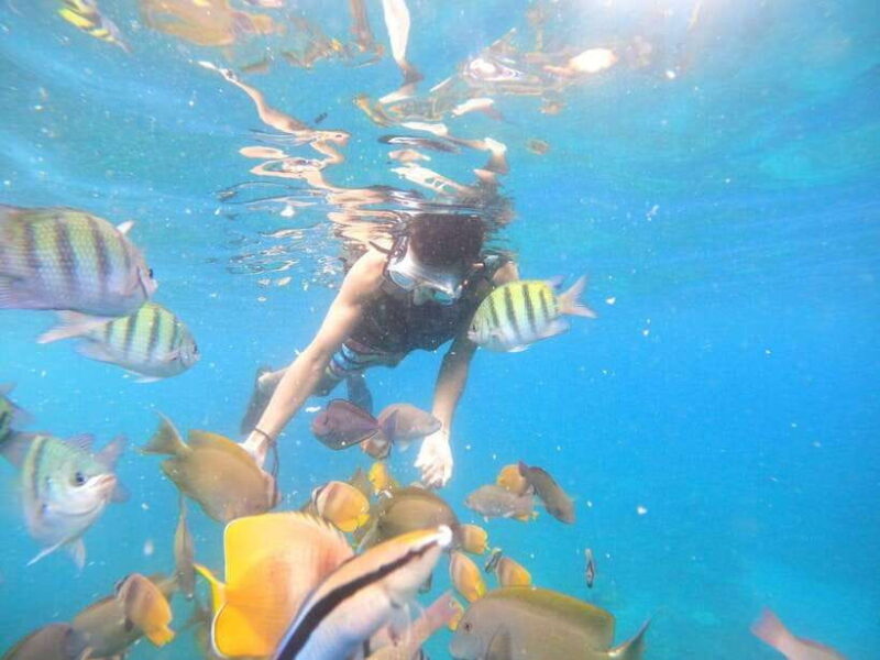 From Bali: Nusa Penida Tour with Private Snorkeling & Lunch - Exploring Nusa Penida: A Visual and Cultural Feast