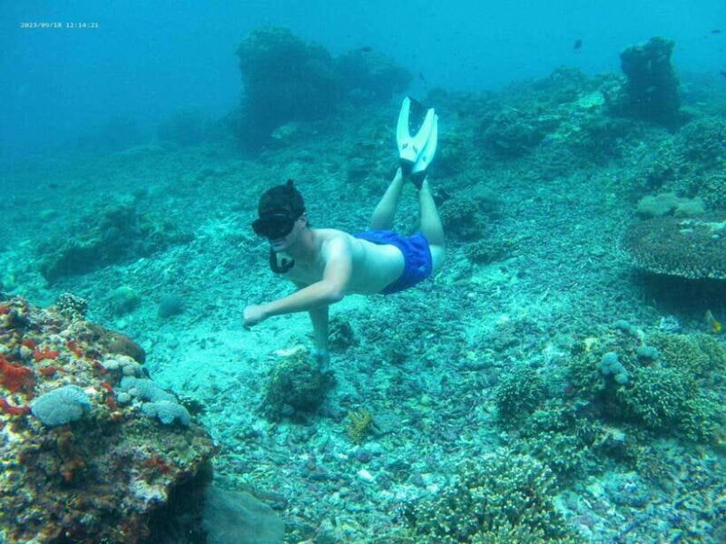 From Bali: Nusa Penida Tour with Private Snorkeling & Lunch - The Sum Up