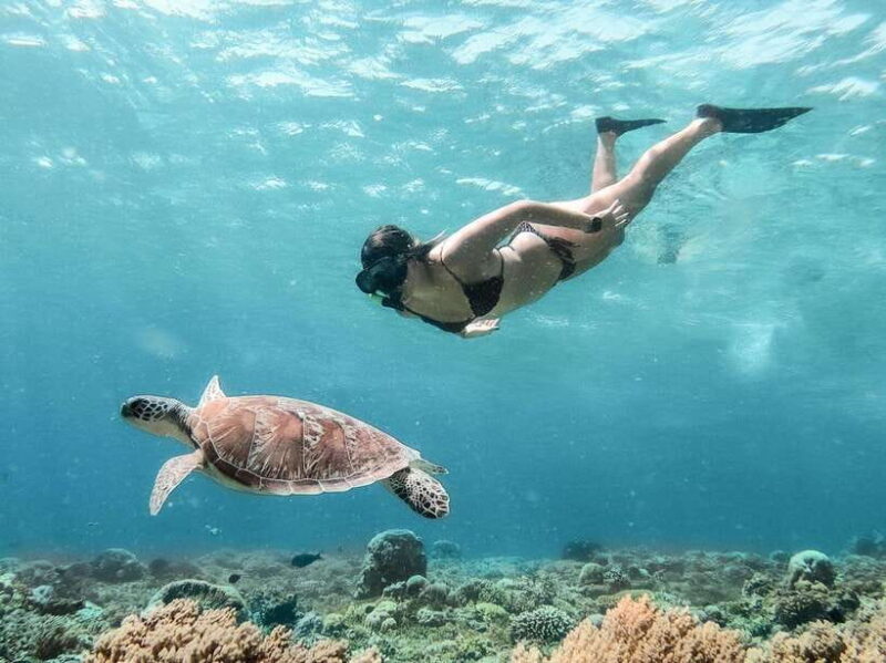 From Bali: Private Gili Islands Snorkeling All-Inclusive - From Bali: Private Gili Islands Snorkeling All-Inclusive — A Practical Guide